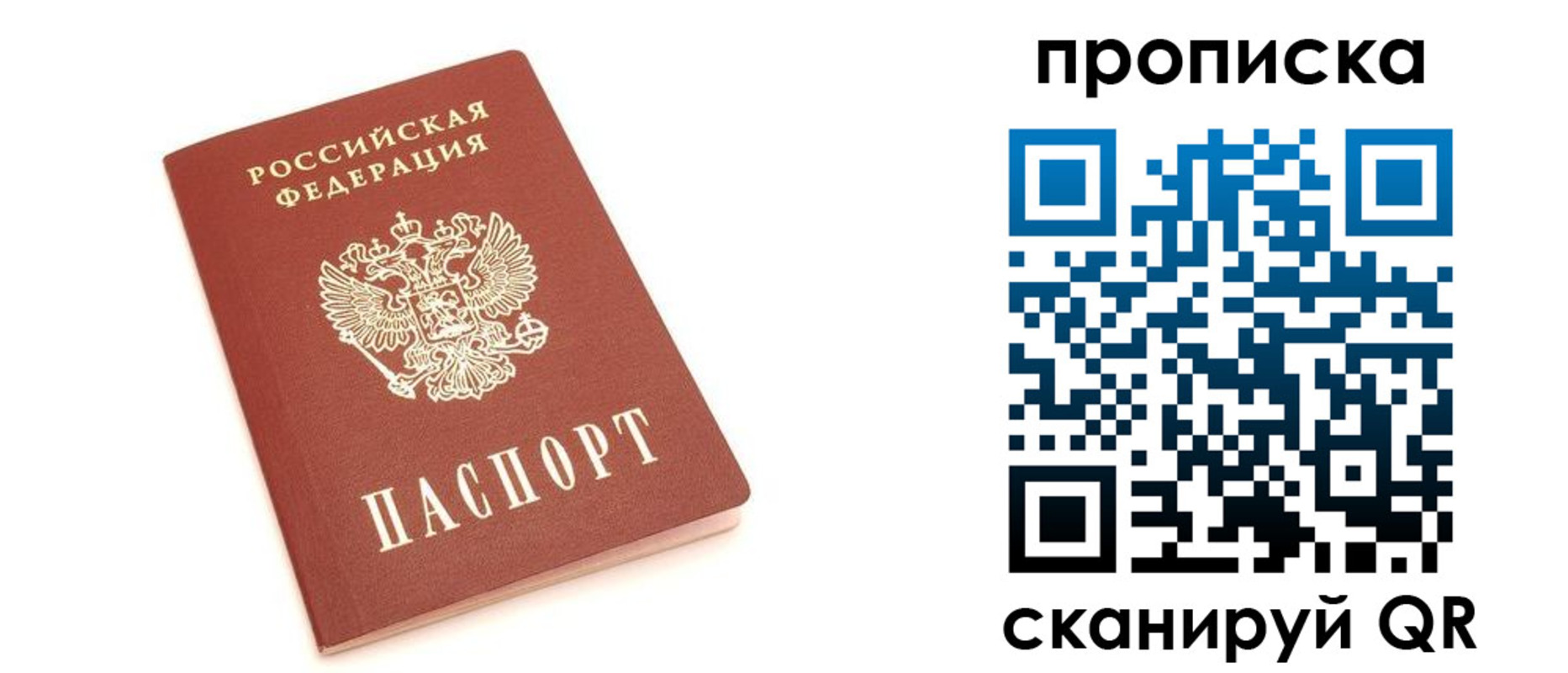 прописка 2025 в Владимире